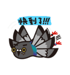 ノリピジョン（個別スタンプ：17）