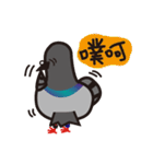 ノリピジョン（個別スタンプ：24）