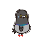 ノリピジョン（個別スタンプ：36）