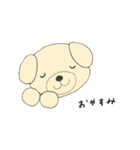 ゴールデンレトリバーのこいぬ（個別スタンプ：24）