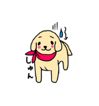 ゴールデンレトリバーぴんきぃのスタンプ（個別スタンプ：4）