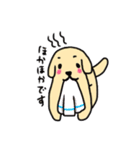 ゴールデンレトリバーぴんきぃのスタンプ（個別スタンプ：5）