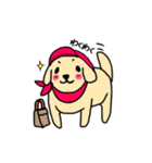 ゴールデンレトリバーぴんきぃのスタンプ（個別スタンプ：6）