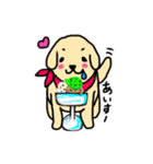 ゴールデンレトリバーぴんきぃのスタンプ（個別スタンプ：9）