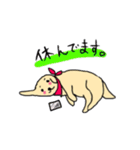 ゴールデンレトリバーぴんきぃのスタンプ（個別スタンプ：11）