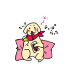 ゴールデンレトリバーぴんきぃのスタンプ（個別スタンプ：33）