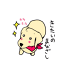 ゴールデンレトリバーぴんきぃのスタンプ（個別スタンプ：34）