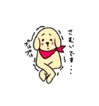 ゴールデンレトリバーぴんきぃのスタンプ（個別スタンプ：38）