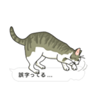 吹き出し仕立ての空きっ腹に猫（個別スタンプ：29）