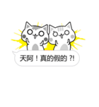 Mi Mi ＆ Miao Miao - Daily Conversation（個別スタンプ：11）