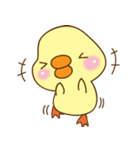 Cutie duck（個別スタンプ：12）