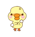 Cutie duck（個別スタンプ：20）