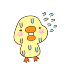 Cutie duck（個別スタンプ：21）