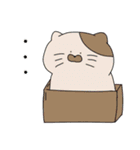 ねこぐらし。（個別スタンプ：11）