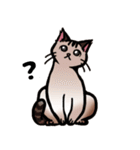 琥珀猫との生活（個別スタンプ：4）