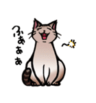 琥珀猫との生活（個別スタンプ：6）