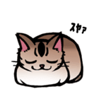 琥珀猫との生活（個別スタンプ：9）