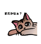 琥珀猫との生活（個別スタンプ：10）