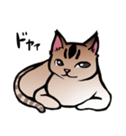 琥珀猫との生活（個別スタンプ：11）
