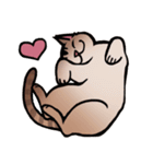 琥珀猫との生活（個別スタンプ：12）