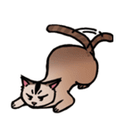 琥珀猫との生活（個別スタンプ：13）
