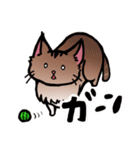 琥珀猫との生活（個別スタンプ：15）