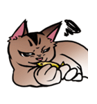 琥珀猫との生活（個別スタンプ：16）