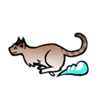 琥珀猫との生活（個別スタンプ：20）