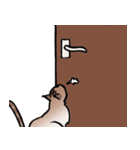 琥珀猫との生活（個別スタンプ：24）