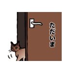 琥珀猫との生活（個別スタンプ：27）