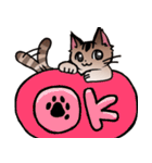 琥珀猫との生活（個別スタンプ：28）