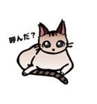 琥珀猫との生活（個別スタンプ：30）