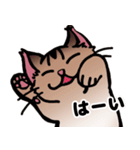 琥珀猫との生活（個別スタンプ：36）