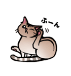 琥珀猫との生活（個別スタンプ：37）