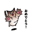 琥珀猫との生活（個別スタンプ：38）