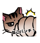 琥珀猫との生活（個別スタンプ：40）
