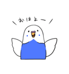 インコのぽぽちゃん（個別スタンプ：1）