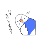 インコのぽぽちゃん（個別スタンプ：3）