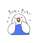 インコのぽぽちゃん（個別スタンプ：5）