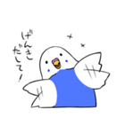インコのぽぽちゃん（個別スタンプ：9）