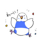 インコのぽぽちゃん（個別スタンプ：10）