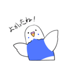 インコのぽぽちゃん（個別スタンプ：11）