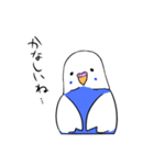 インコのぽぽちゃん（個別スタンプ：12）