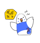 インコのぽぽちゃん（個別スタンプ：13）