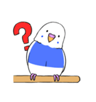 インコのぽぽちゃん（個別スタンプ：14）