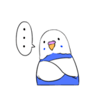 インコのぽぽちゃん（個別スタンプ：16）