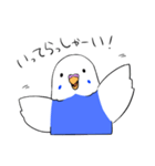 インコのぽぽちゃん（個別スタンプ：21）
