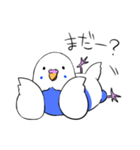 インコのぽぽちゃん（個別スタンプ：23）