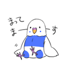 インコのぽぽちゃん（個別スタンプ：30）