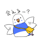 インコのぽぽちゃん（個別スタンプ：31）